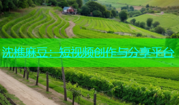 沈樵麻豆：短视频创作与分享平台