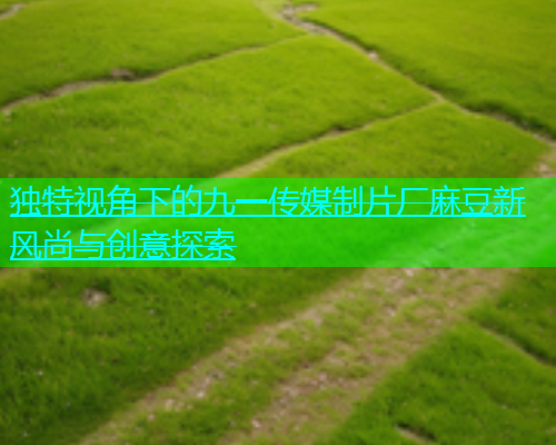 独特视角下的九一传媒制片厂麻豆新风尚与创意探索