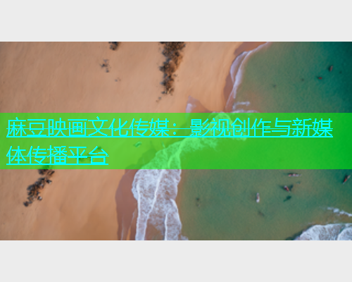 麻豆映画文化传媒：影视创作与新媒体传播平台