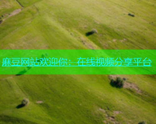 麻豆网站欢迎你：在线视频分享平台