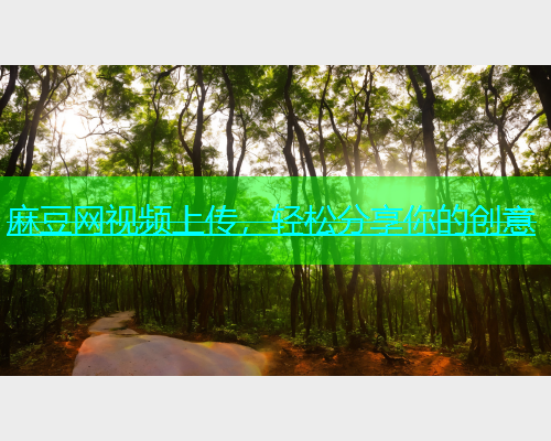 麻豆网视频上传，轻松分享你的创意