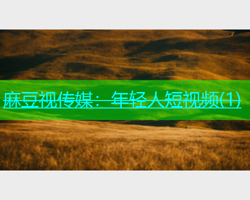 麻豆视传媒：年轻人短视频(1)