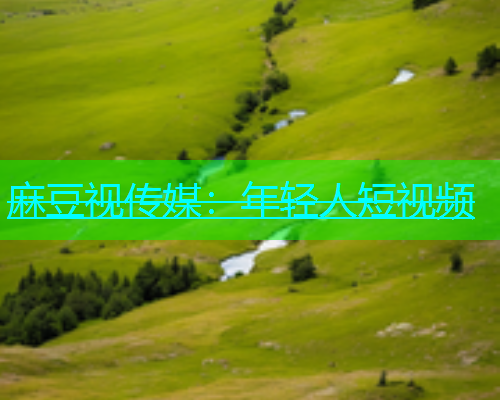 麻豆视传媒：年轻人短视频