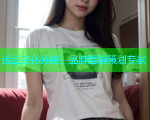 武豆文化传媒：品牌营销策划专家