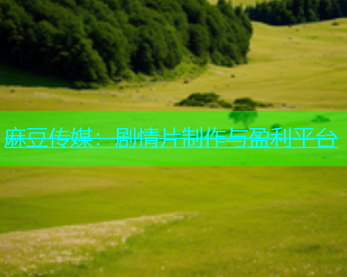 麻豆传媒：剧情片制作与盈利平台