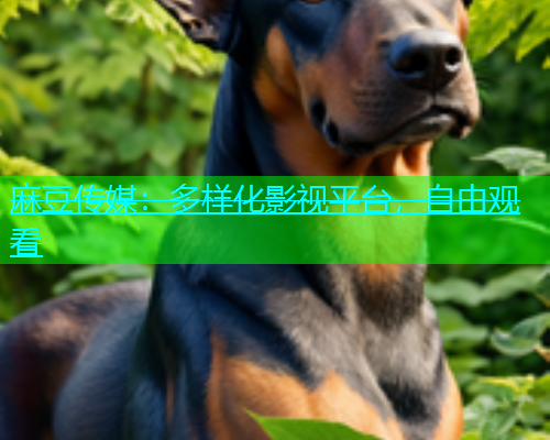 麻豆传媒：多样化影视平台，自由观看