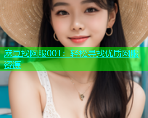 麻豆找网服001：轻松寻找优质网服资源