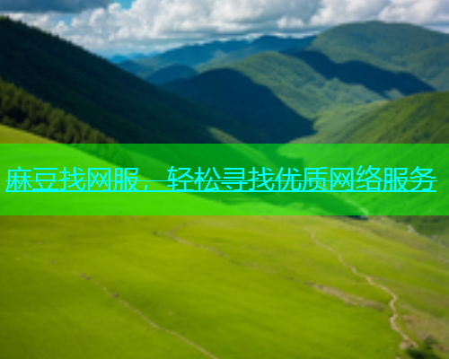麻豆找网服，轻松寻找优质网络服务
