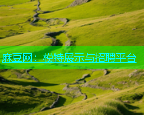 麻豆网：模特展示与招聘平台
