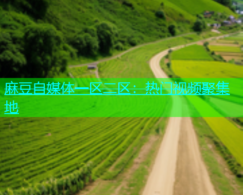 麻豆自媒体一区二区：热门视频聚集地