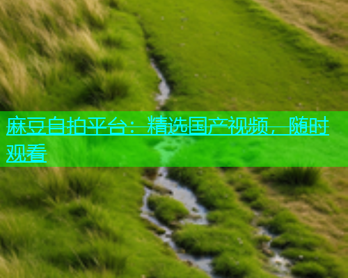 麻豆自拍平台：精选国产视频，随时观看