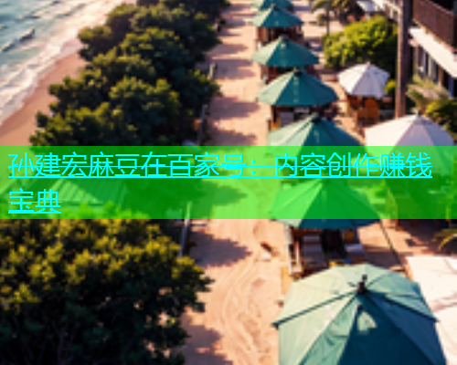 孙建宏麻豆在百家号：内容创作赚钱宝典