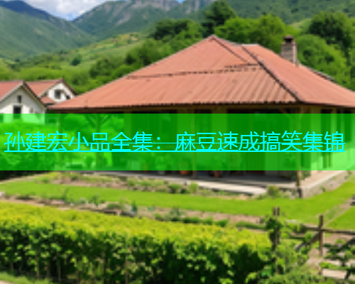 孙建宏小品全集：麻豆速成搞笑集锦