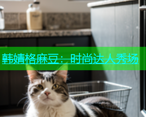 韩婧格麻豆：时尚达人秀场