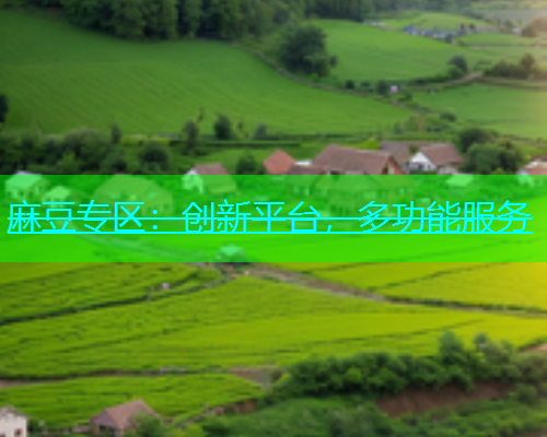 麻豆专区：创新平台，多功能服务