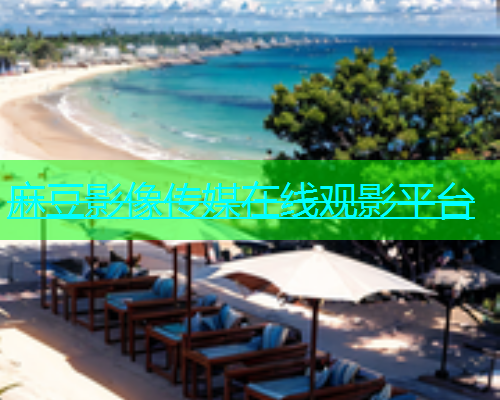 麻豆影像传媒在线观影平台