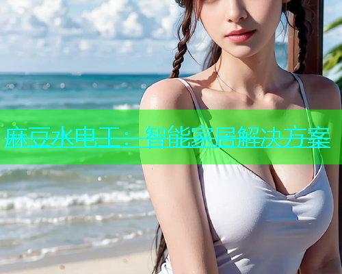 麻豆水电工：智能家居解决方案