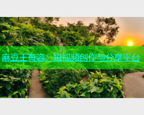 麻豆王有容：短视频创作与分享平台
