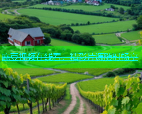 麻豆视频在线看，精彩片源随时畅享