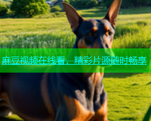 麻豆视频在线看，精彩片源随时畅享