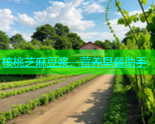 核桃芝麻豆浆，营养早餐助手