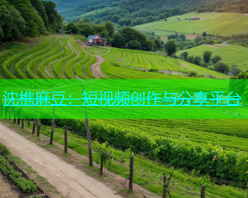 沈樵麻豆：短视频创作与分享平台