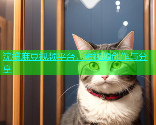 沈樵麻豆视频平台，短视频创作与分享