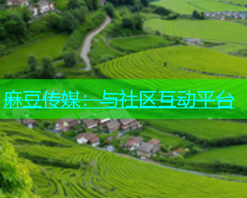 麻豆传媒：与社区互动平台