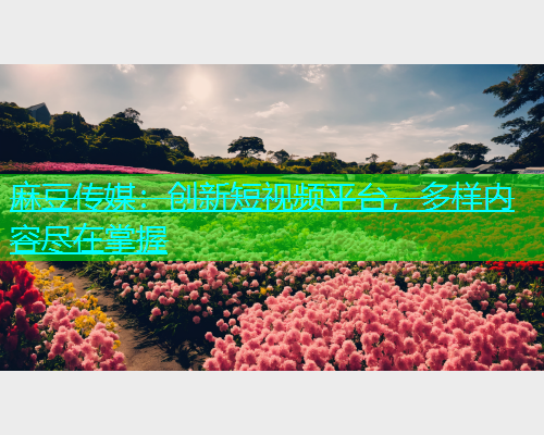 麻豆传媒：创新短视频平台，多样内容尽在掌握