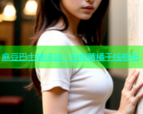 麻豆巴士转运站：台南黄橘干线枢纽