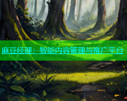 麻豆经理：智能内容管理与推广平台