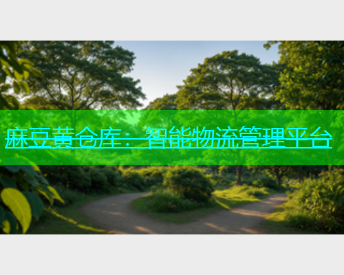 麻豆黄仓库：智能物流管理平台