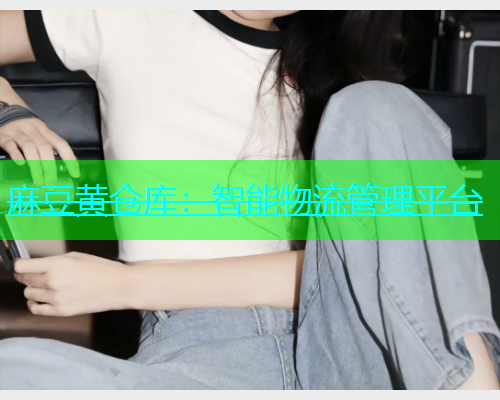 麻豆黄仓库：智能物流管理平台